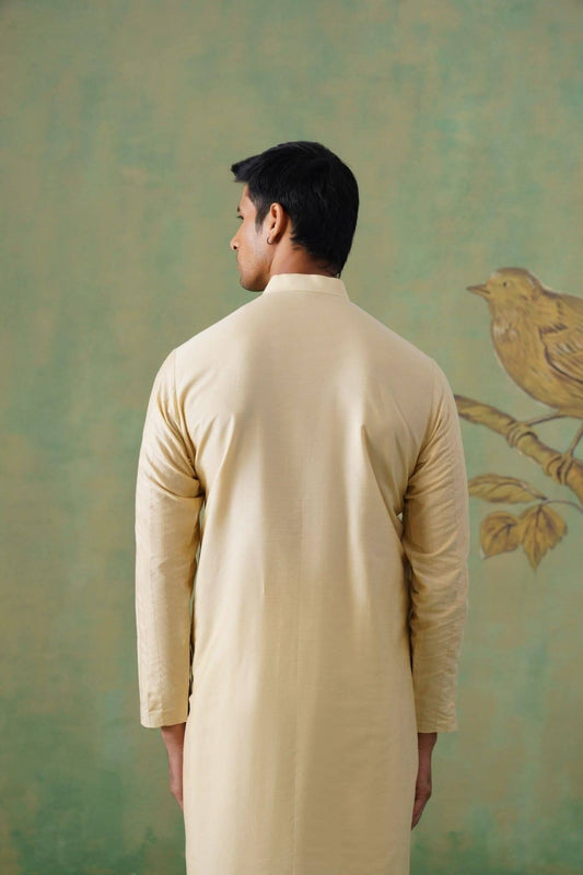 Cream Pleated Kurta with Minimal Detailing