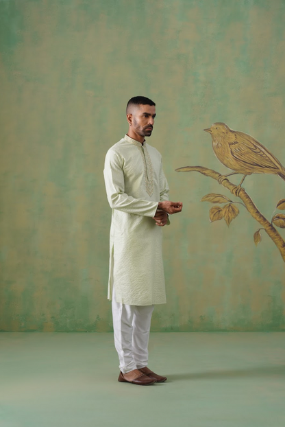 Pastel Pistachio Hand-Embroidered Cotton Blend Kurta Set