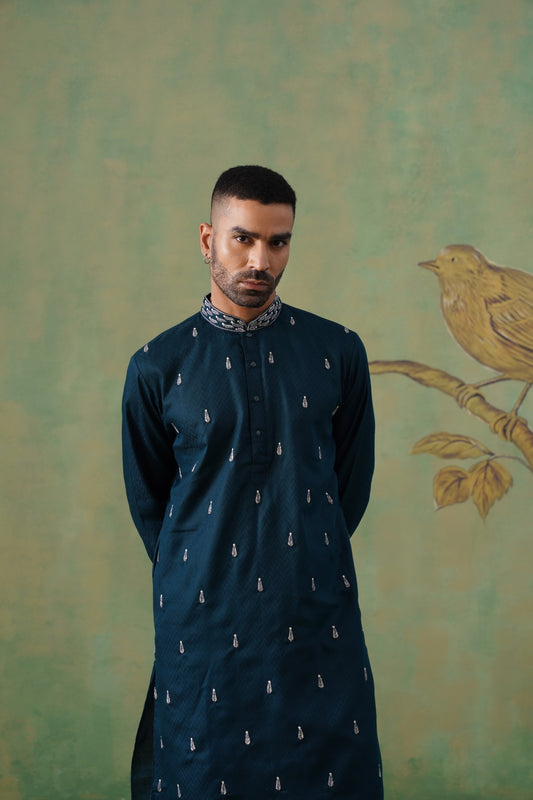 Man wearing a dark blue kurta with white patterns against a green wall with a bird design.