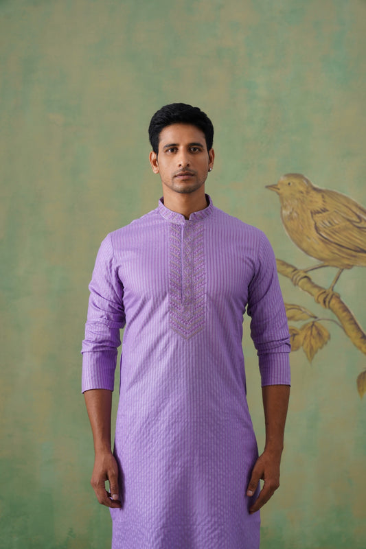 Man wearing a purple kurta
